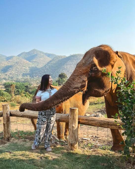 Elephantpoolvilla Maetang Chiangmai Ban Muang Kut Eksteriør bilde